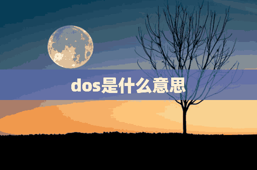 dos是什么意思(dos是什么意思字母圈)